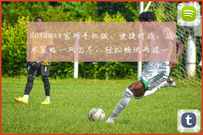 dotamax官网手机版，便捷对战，战术策略一网打尽，轻松畅玩两逗一