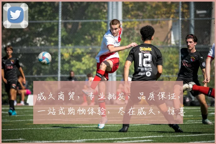 威久商贸，专业批发，品质保证，一站式购物体验，尽在威久，惊喜不断