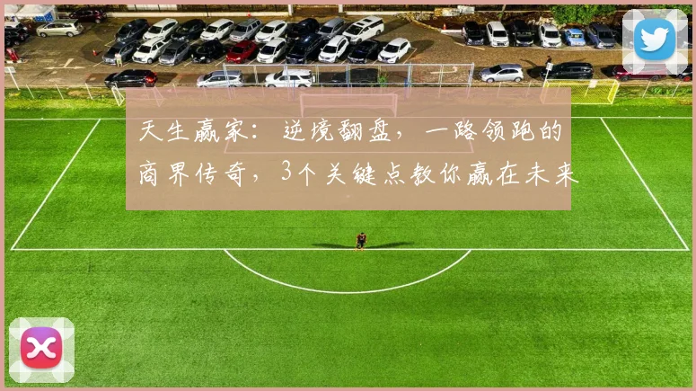 天生赢家：逆境翻盘，一路领跑的商界传奇，3个关键点教你赢在未来，必看