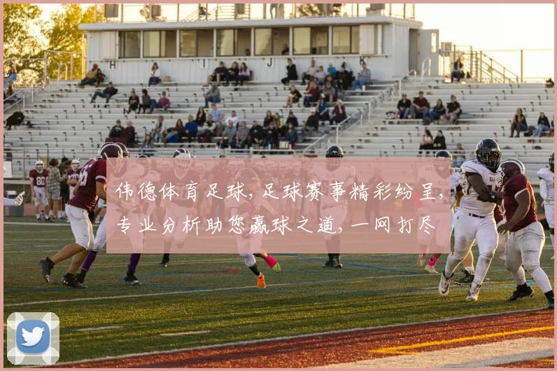 伟德体育足球,足球赛事精彩纷呈,专业分析助您赢球之道,一网打尽