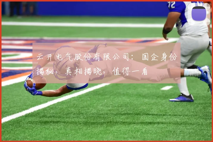 云开电气股份有限公司：国企身份揭秘，真相揭晓，值得一看