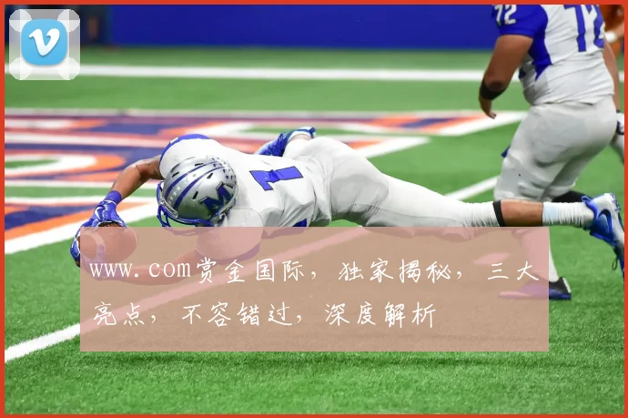 www.com赏金国际，独家揭秘，三大亮点，不容错过，深度解析